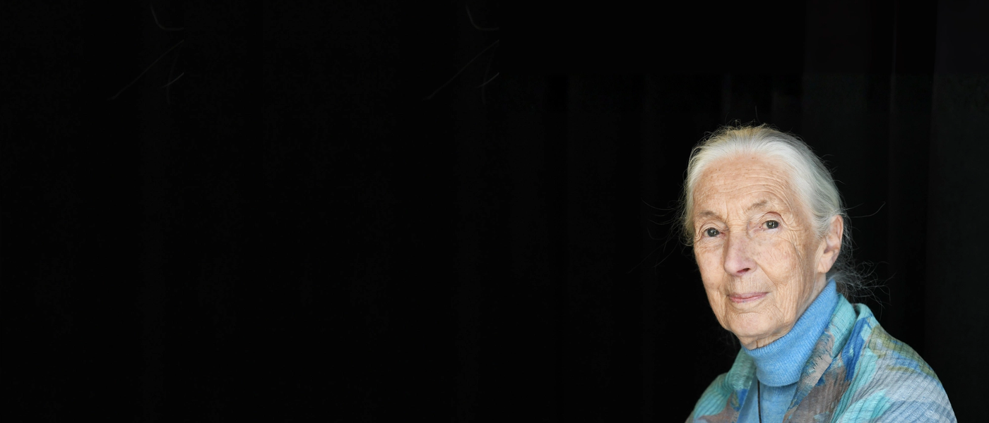 Our Tribute to a Legend: The Legacy of Dr Jane Goodall