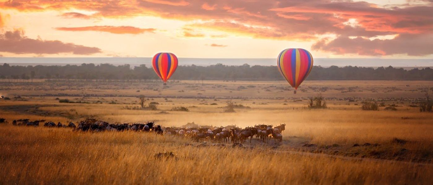 Top 15 Accommodations for a Front-Row View of the Great Migration
