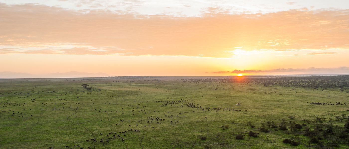 Oprah auf Safari