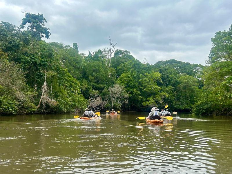 Canoeing down the Congo Basin
