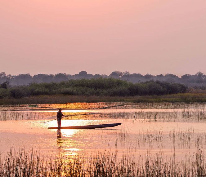 ADVENTUROUS SAFARI IN BOTSWANA