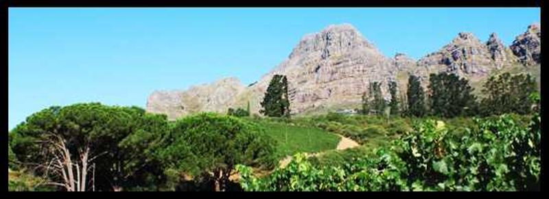 A gorgeous panoramic view from the Overture Restaurant