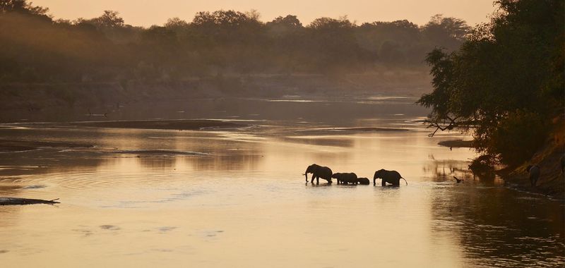 A herd of elephants crosses a wide river at sunset during a safari in October.