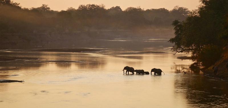 A herd of elephants crosses a wide river at sunset during a safari in October.
