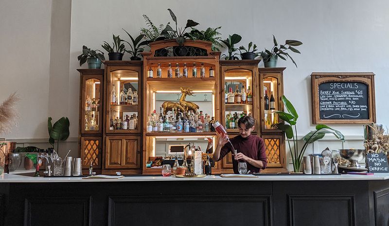 creative gin cocktails