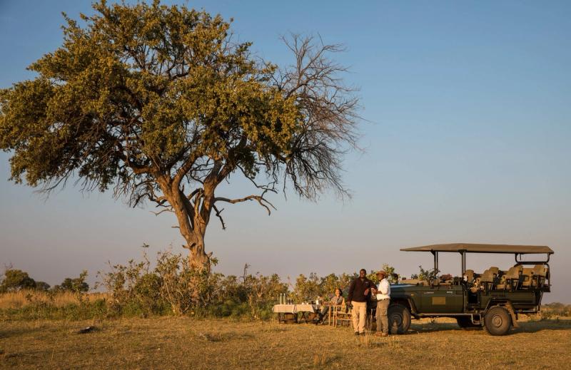 Two men standing in front of a safari vehicle parked in the wild by a large tree, alongside a table with refreshments where a woman is sitting admiring the view