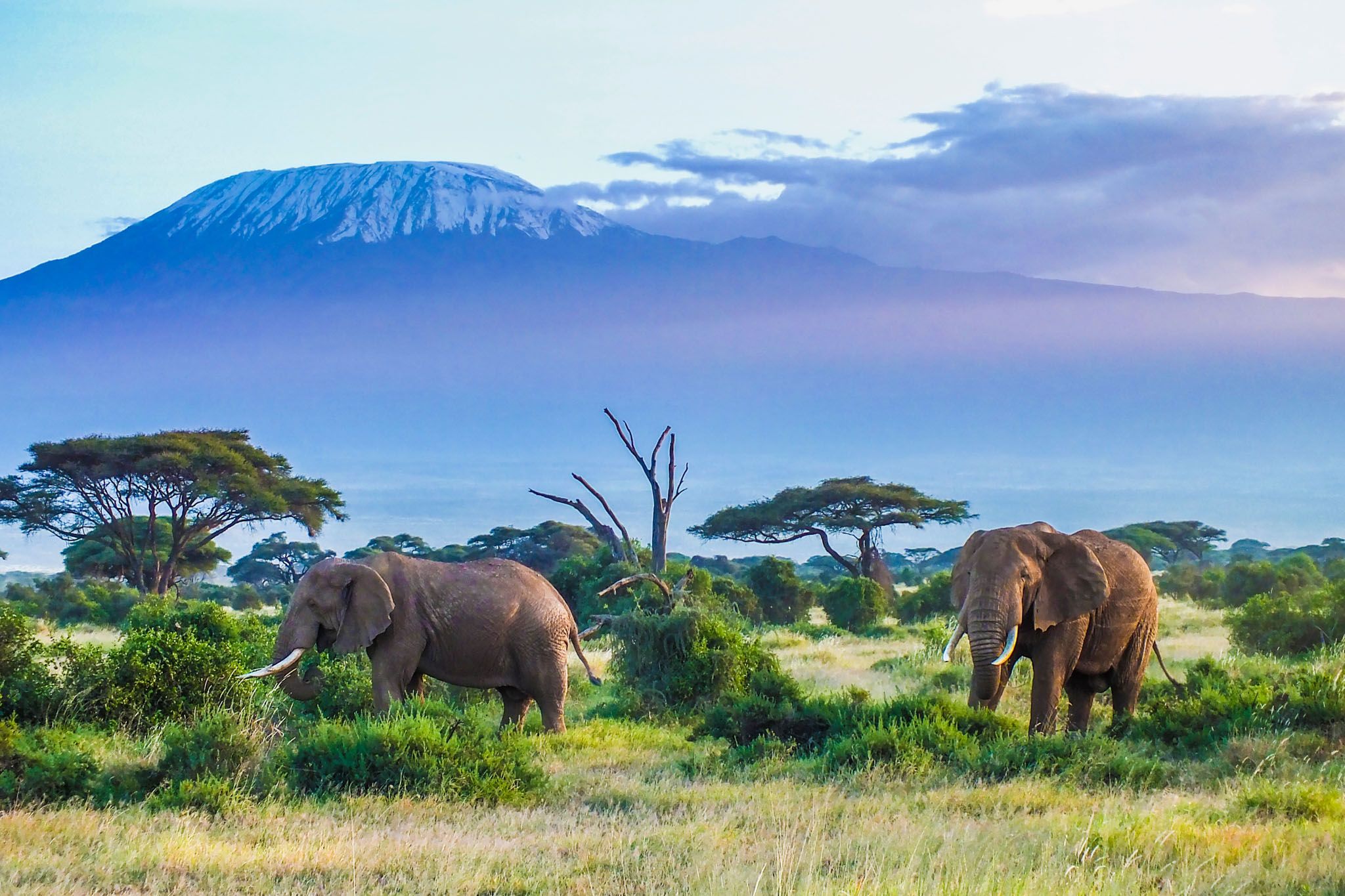 Tanzania in Pictures