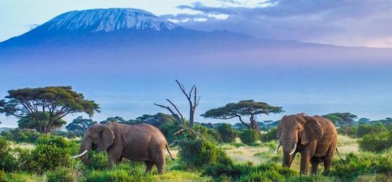 Tanzania in Pictures
