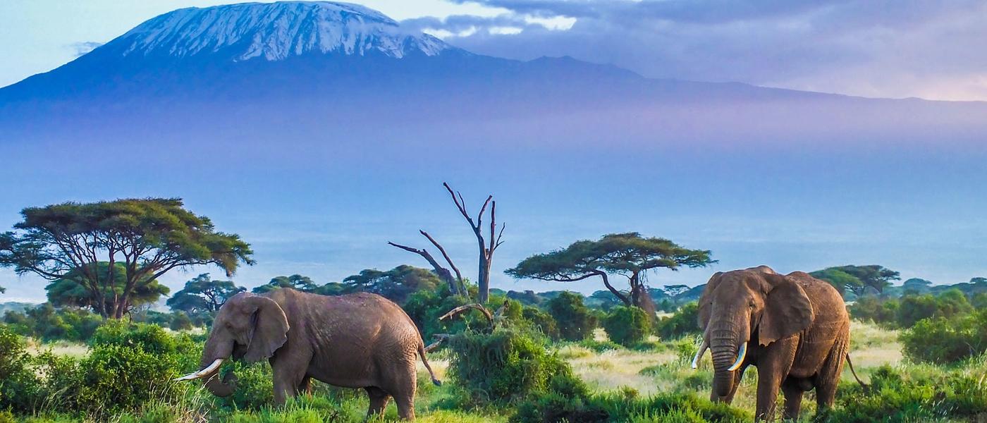Tanzania in Pictures