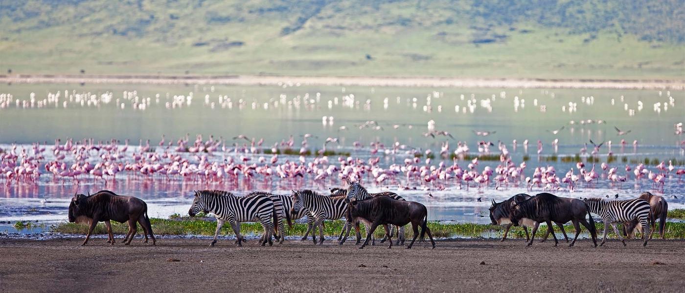 ¿Cuándo es la mejor época para visitar Tanzania?