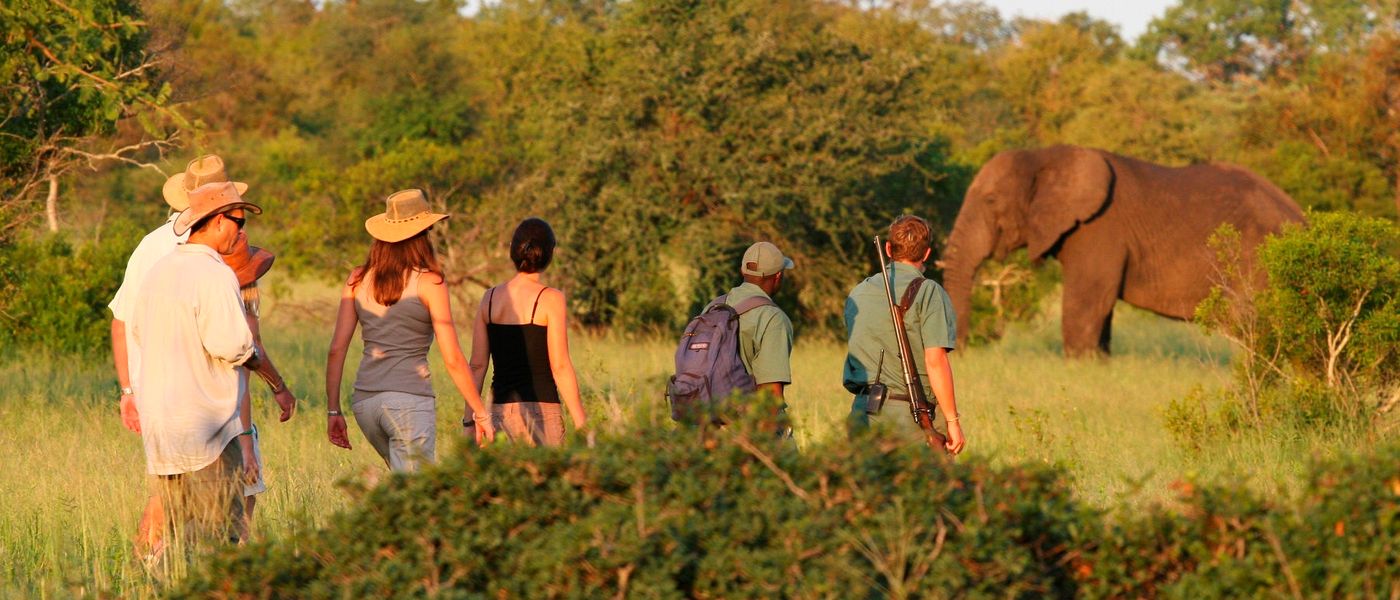 Walk on the Wild Side in Kruger: Rhino Walking Safaris