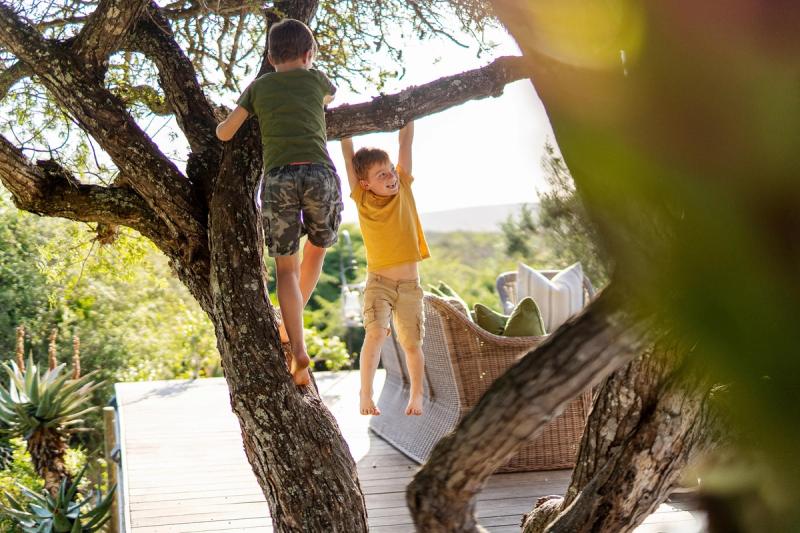 Two young boys climb and play on the branches of a tree, one hanging joyfully from a branch while the other balances on a sturdy limb, with a comfortable outdoor lounge area visible in the background.