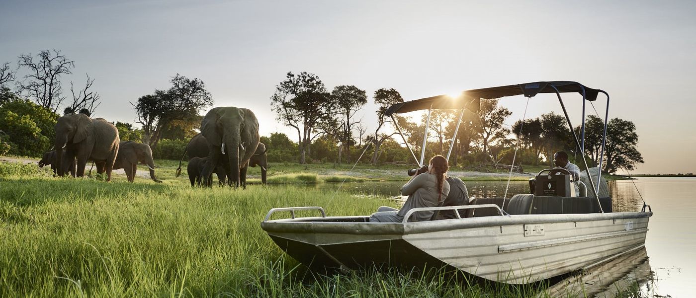 Chobe National Park: A Safari Guide