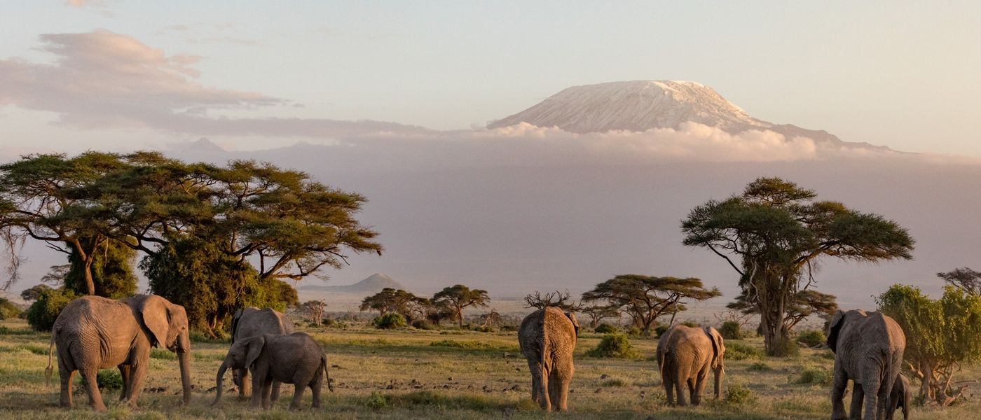 Nationalparks in Kenia – so unterscheiden sie sich