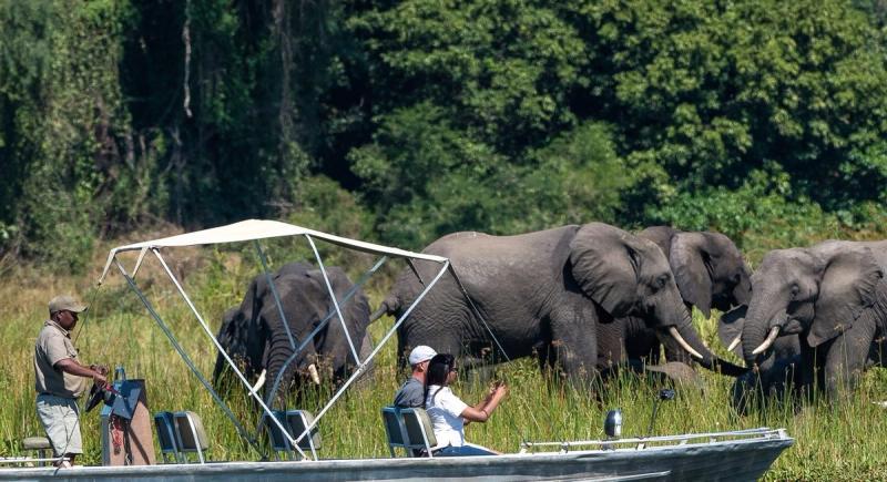 Boat safari in Malawi with elephants along the shoreline