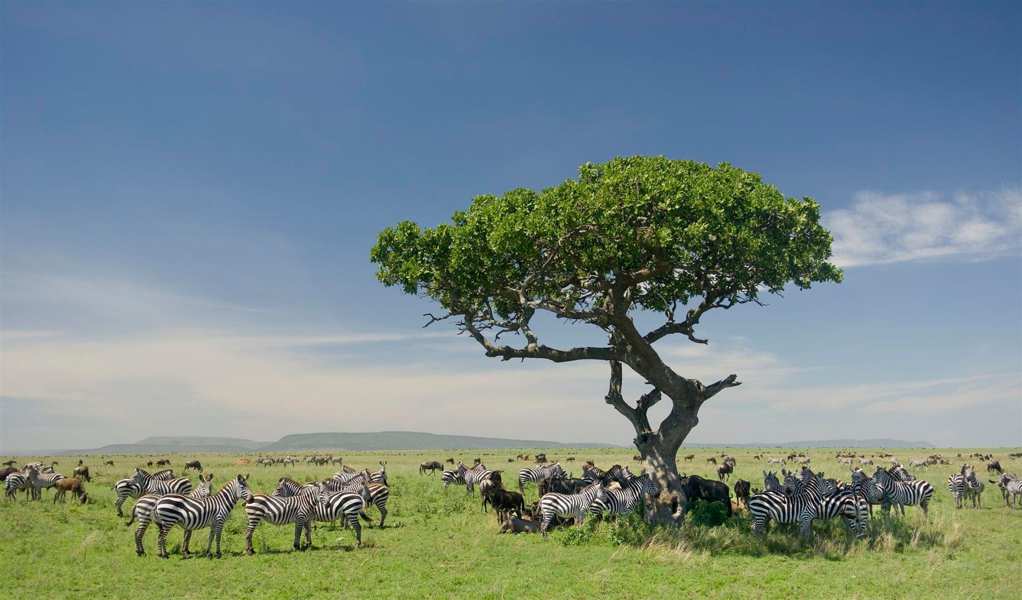 Wunderschönes Afrika