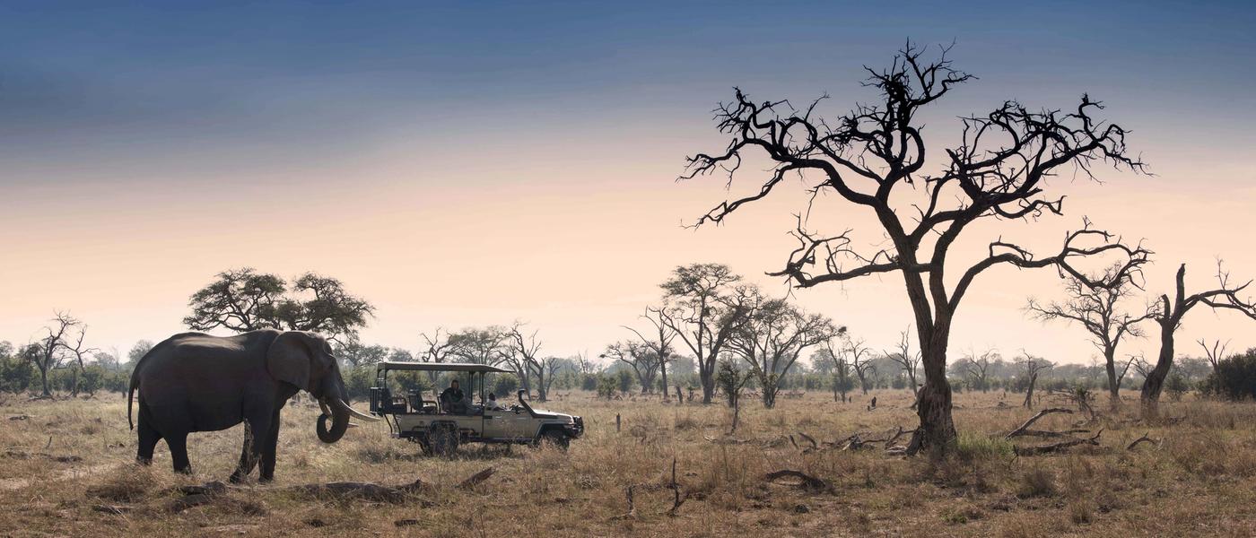 Safári com African Bush Camps | Oferta Especial
