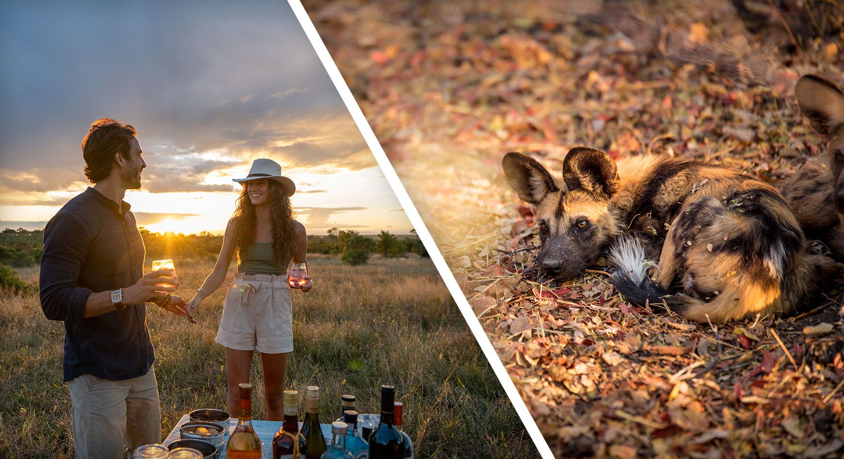 Combining Luxury and Impact on Safari