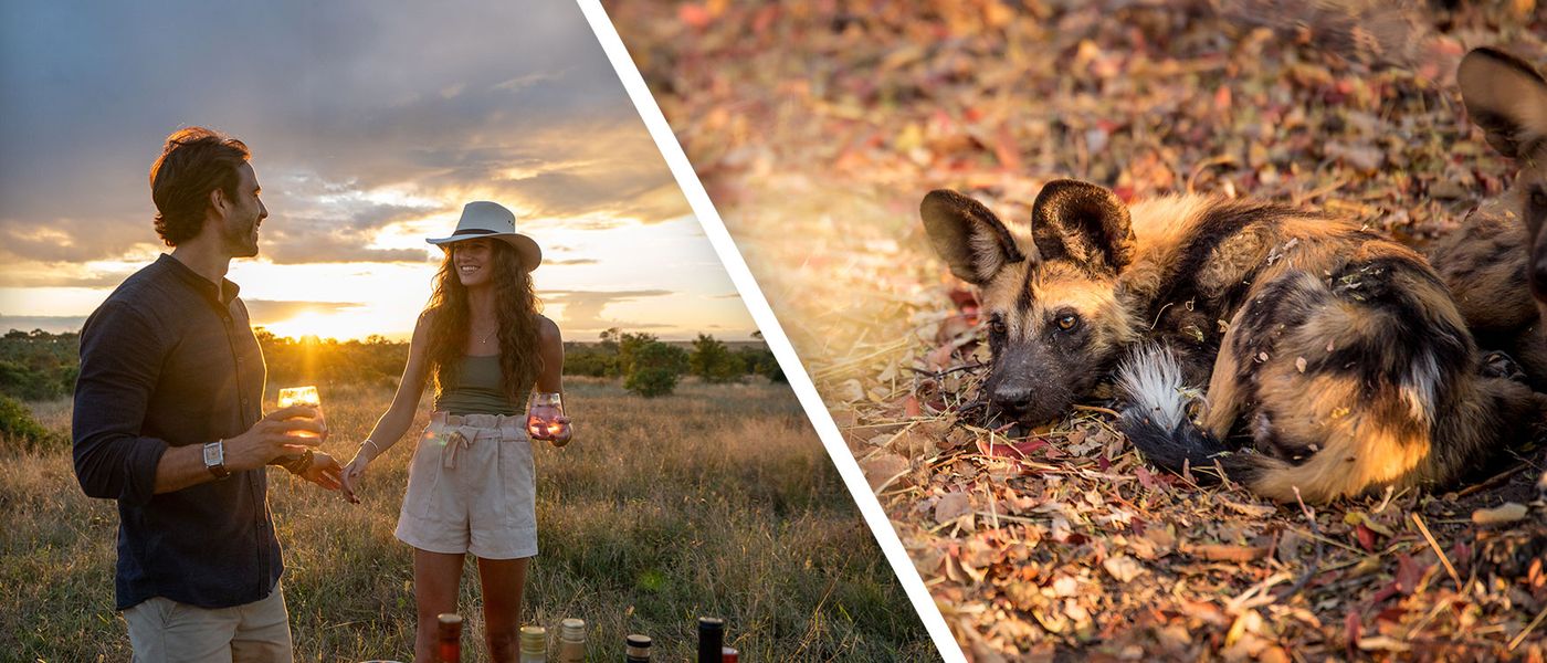 Combining Luxury and Impact on Safari