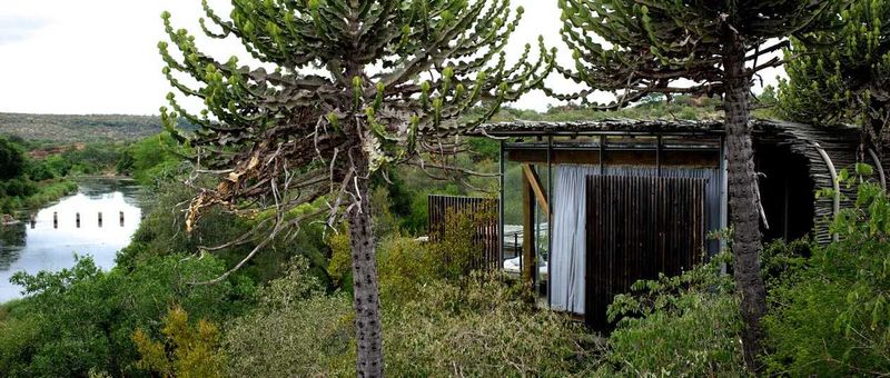 The lodges in Singita Kruger National Park were built on the promise to “touch the earth lightly”