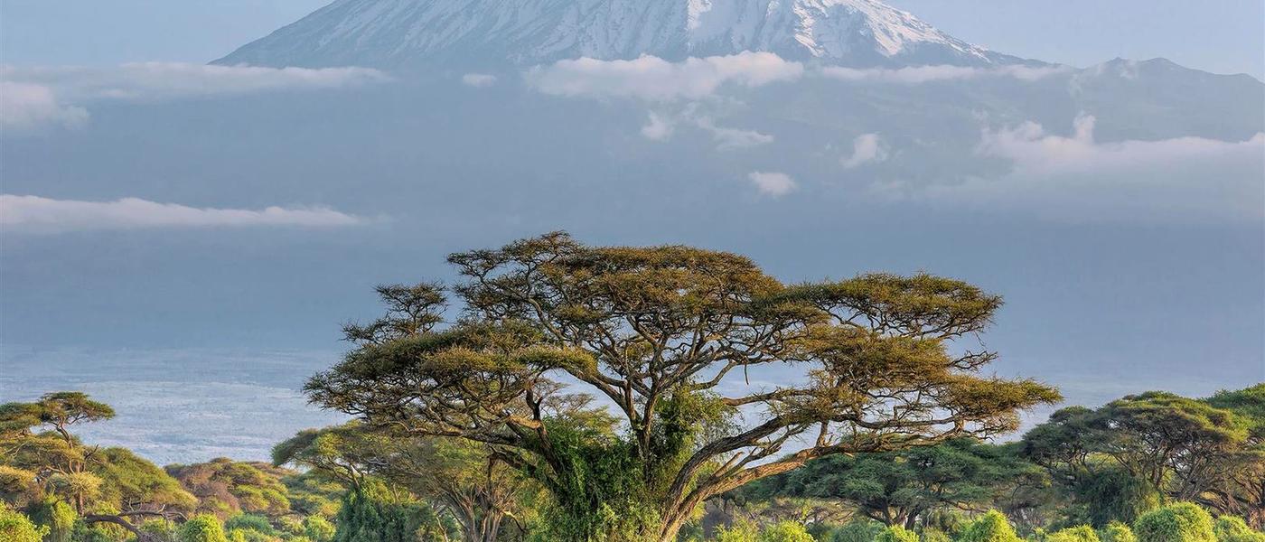 Tansania Urlaub: Safari und Baden