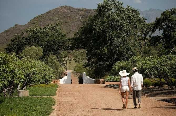 Walking at Babylonstoren