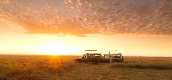 Notre top 10 des meilleurs endroits pour un safari Big 5
