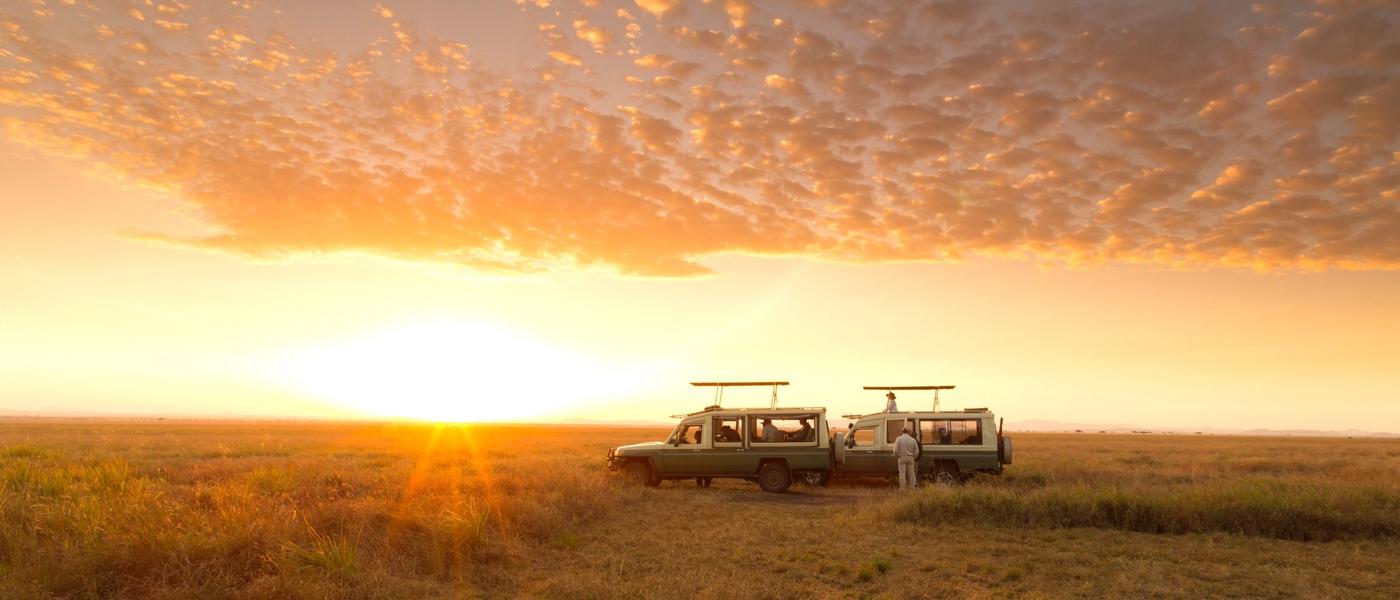 Notre top 10 des meilleurs endroits pour un safari Big 5