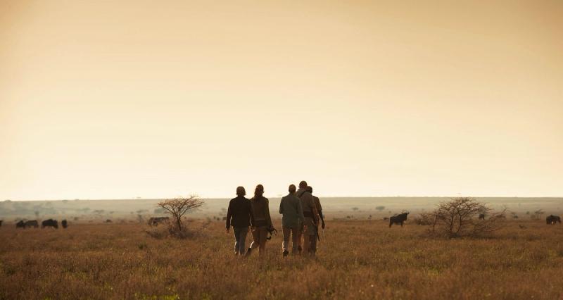 camp walking safari serengeti national park tanzania