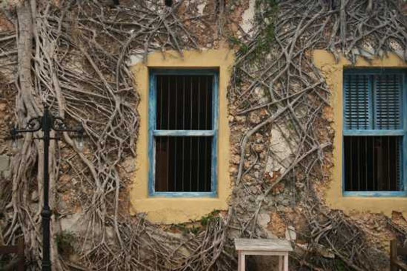 Stonetown views