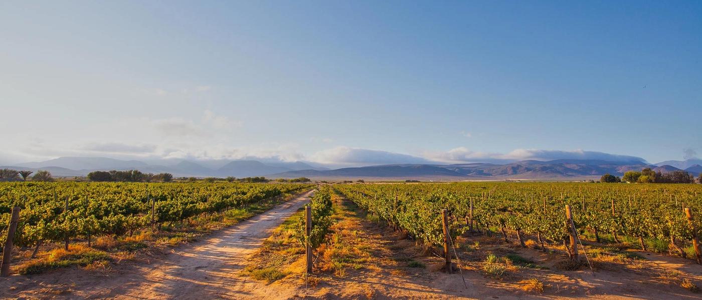 Our Favourite Restaurants in Hermanus