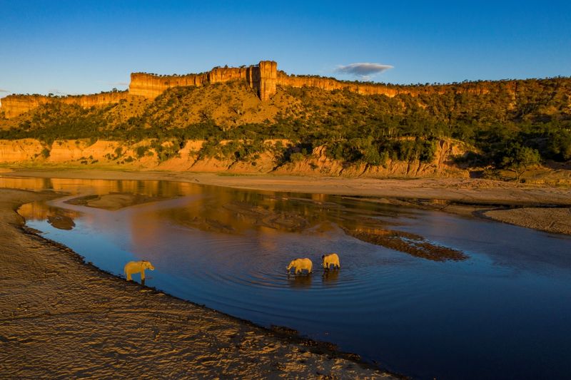 Elephants frolicking in a water pan