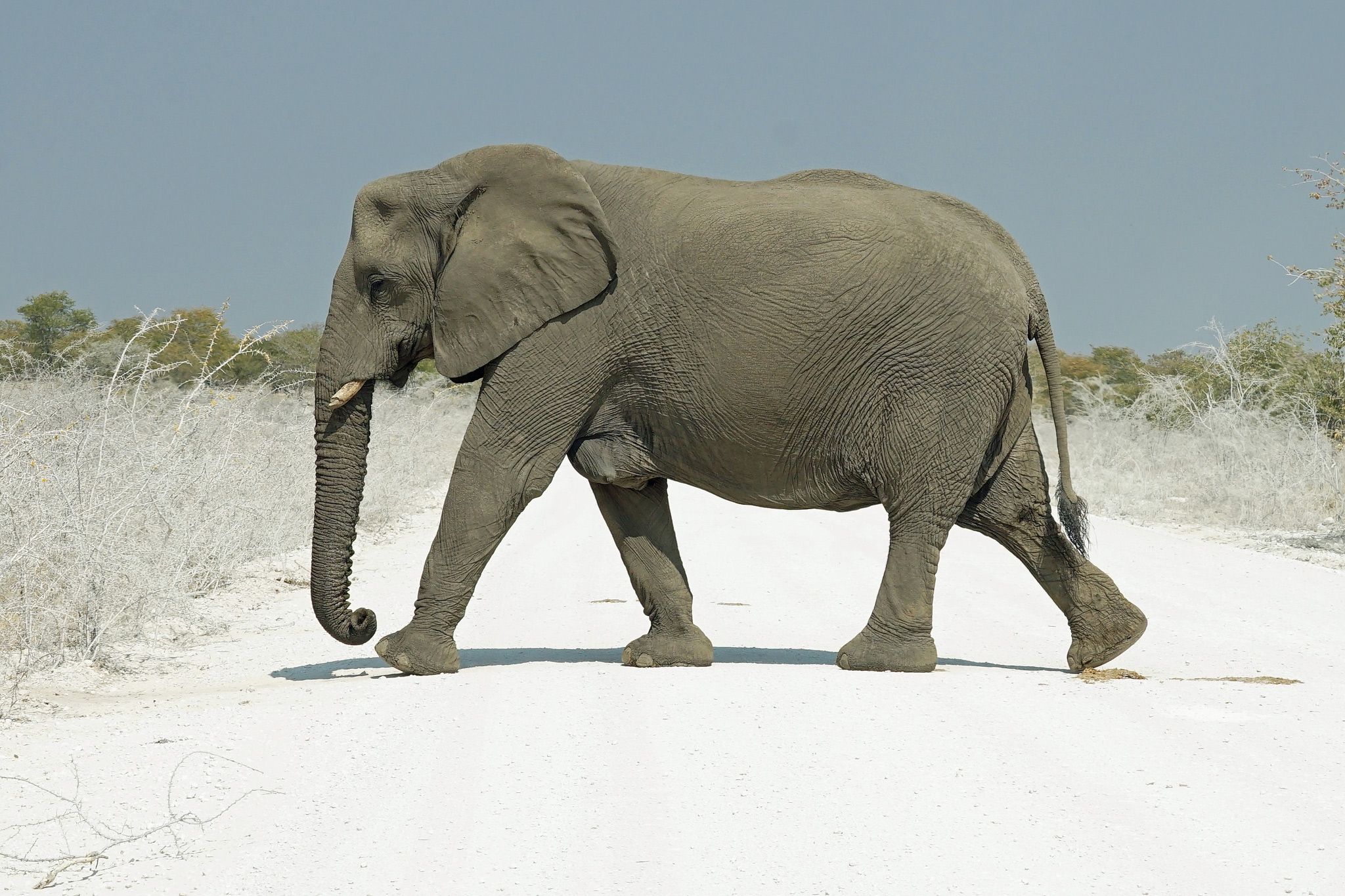 My Trip | A Photographic Journey through Botswana and Namibia