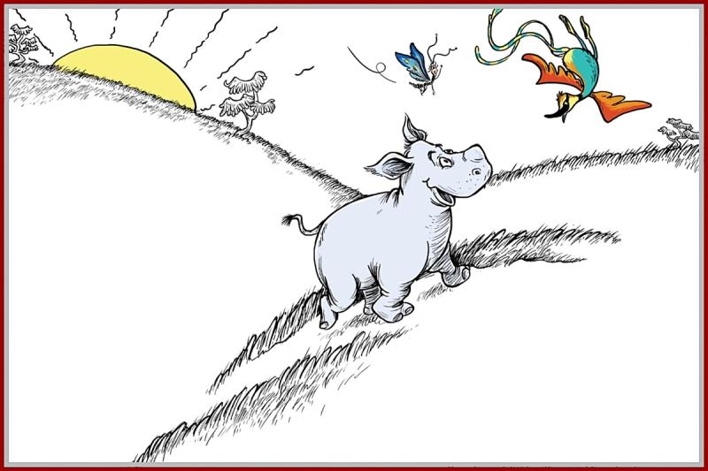 Baby Rodney frolicking in the wild