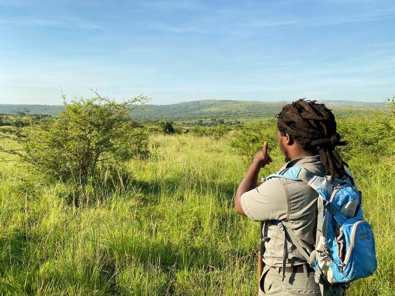 Bush walk with Nunu from Rhino Ridge Safari Lodge