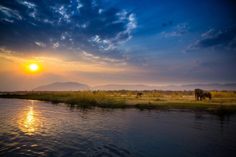 A golden sunset reflects on a river, with elephants grazing on the opposite bank under a dramatic, cloud-streaked sky