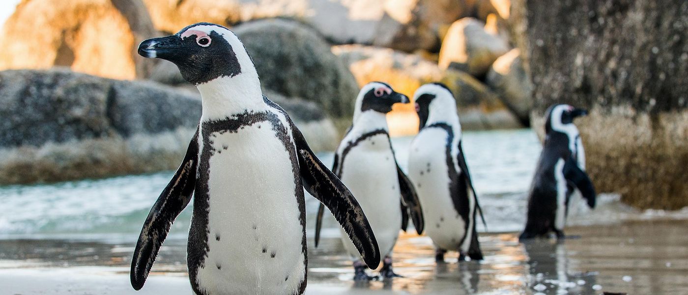 Unique Places to Travel to in South Africa