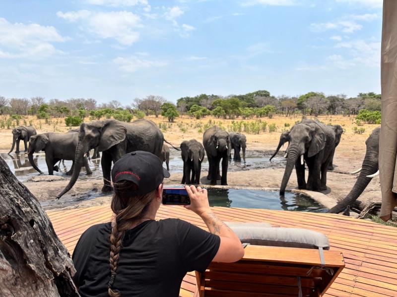 Woman taking photo with photo of elephants drinking from pool in Zimbabwe