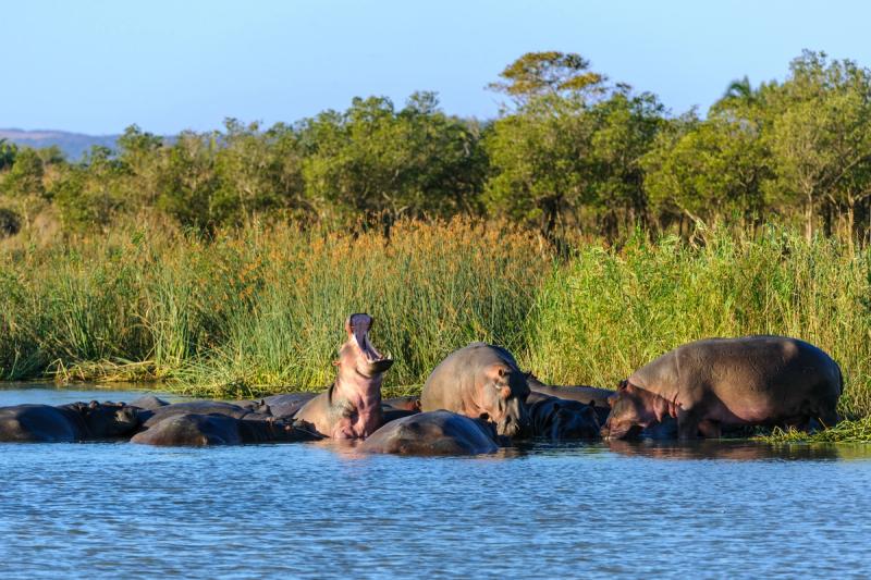 IsiMangaliso Wetland Park in KwaZulu-Natal
