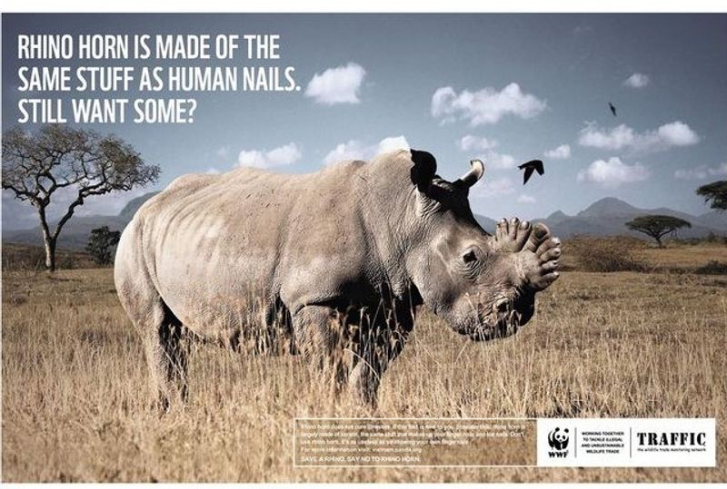 wwf campaign