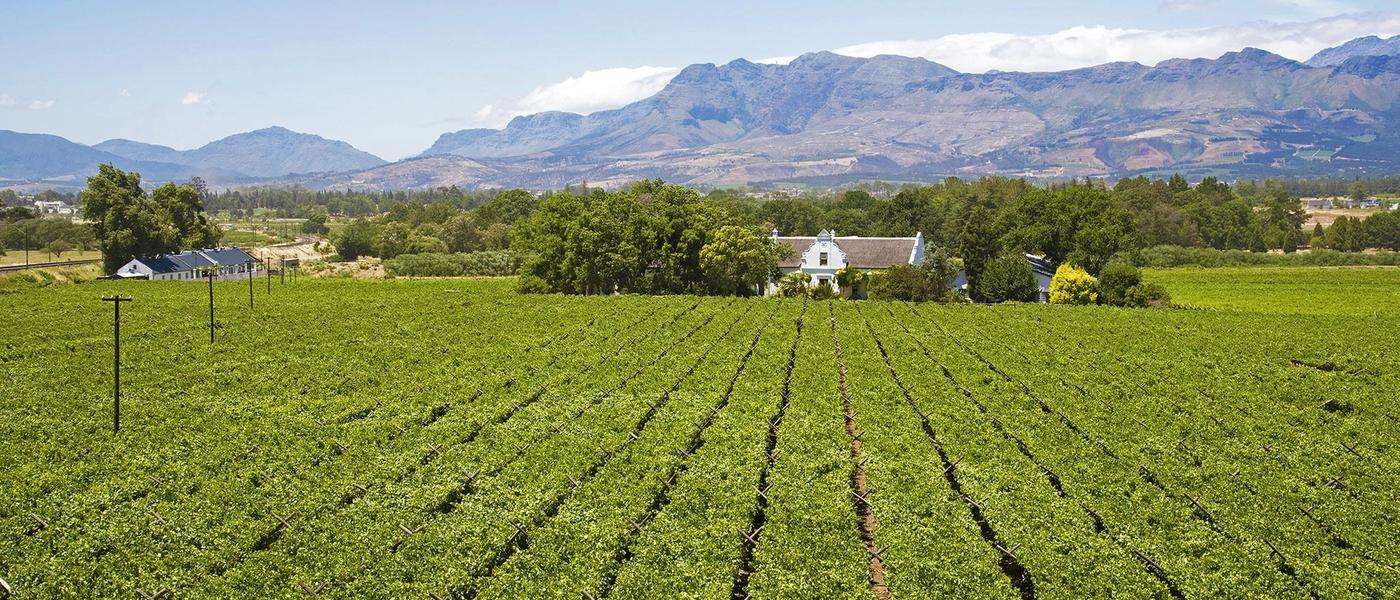 Our Favourite Restaurants in Paarl