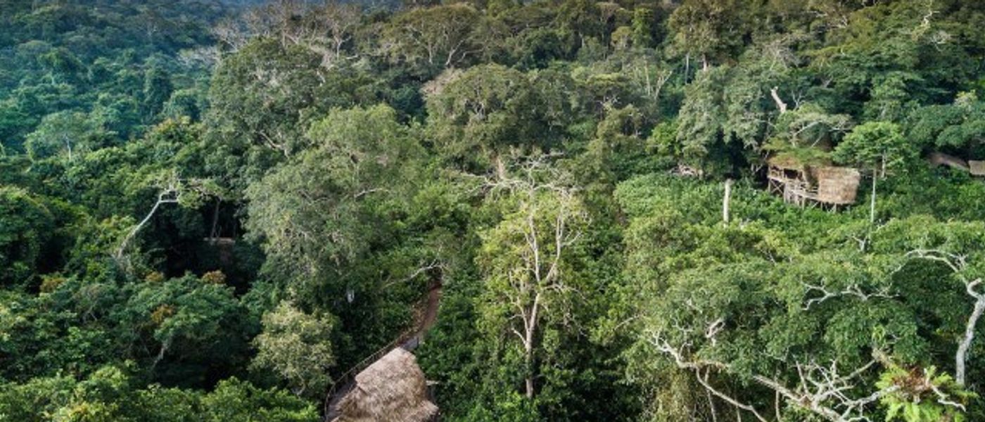 Die grüne Lunge Afrikas: Kongobecken