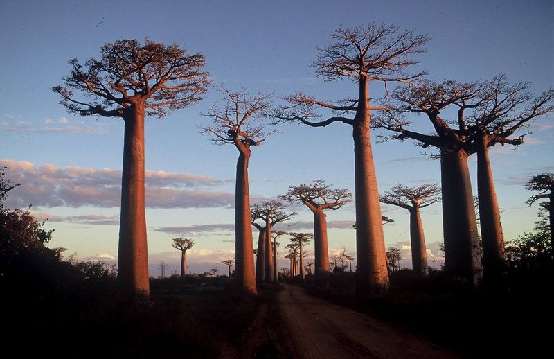 ilhas africanas