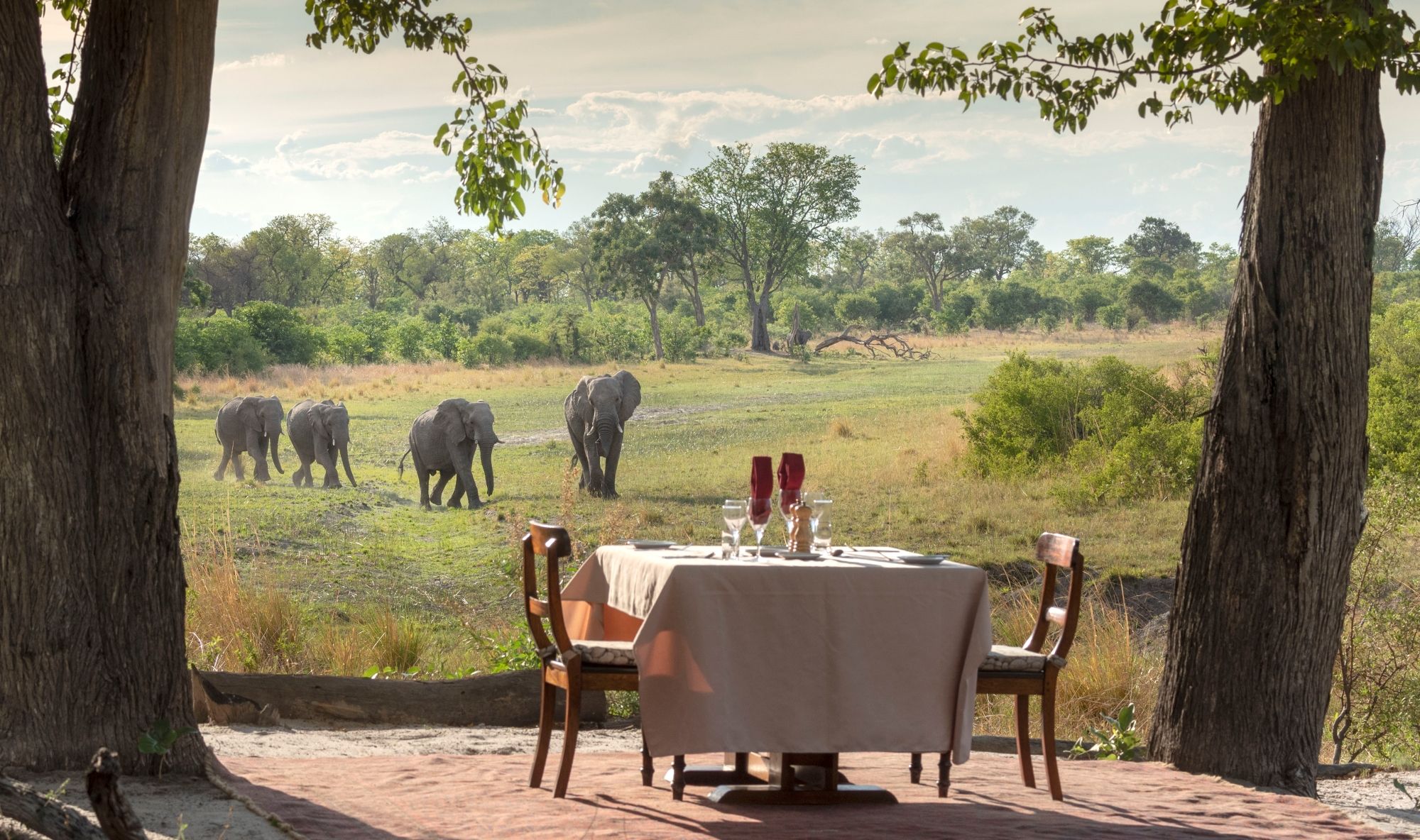 A Safari in Selinda Game Reserve