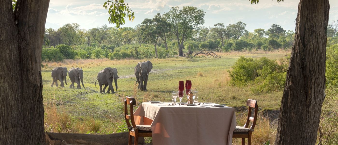 A Safari in Selinda Game Reserve
