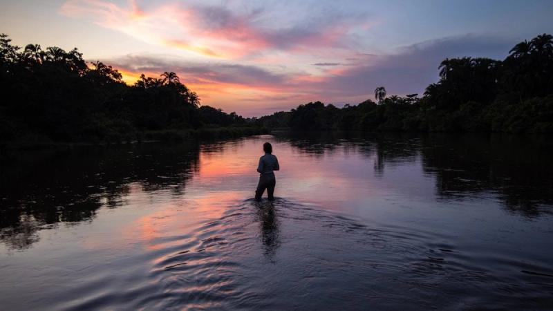 Que voir en Afrique ? Des couchers de soleil sur la jungle d'Odzala au Congo.