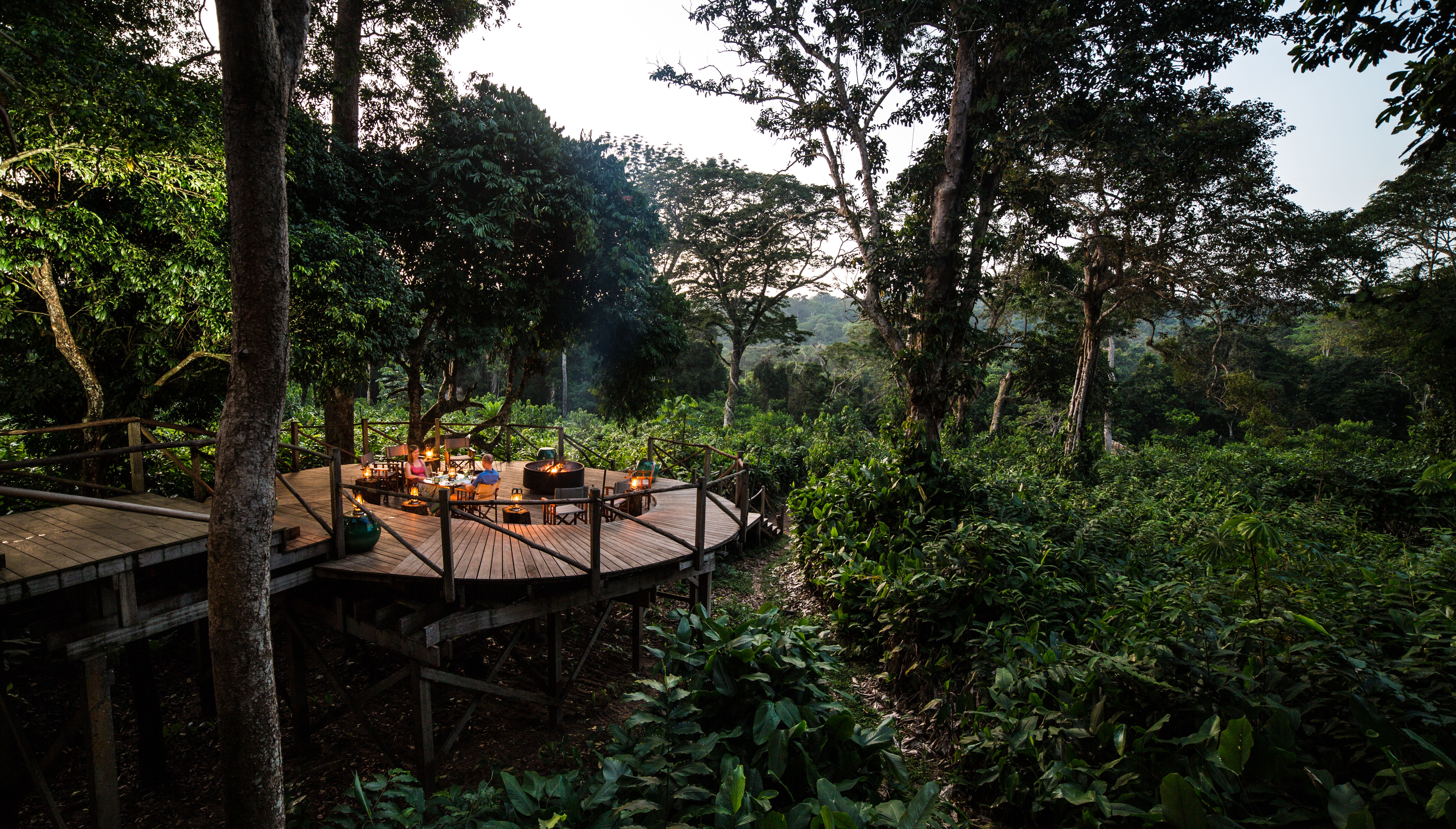 The Art of Shinrin-Yoku in Africa