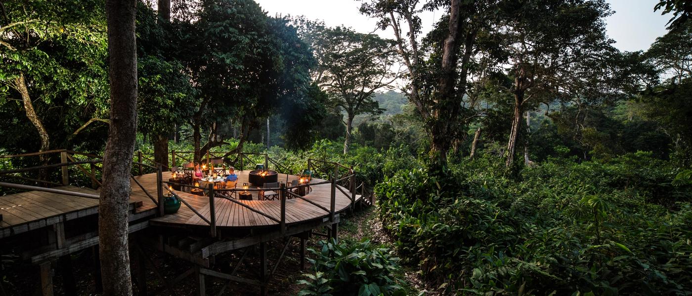 The Art of Shinrin-Yoku in Africa