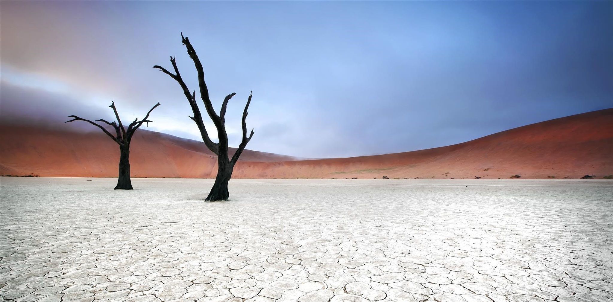 10 raisons de voyager en Namibie