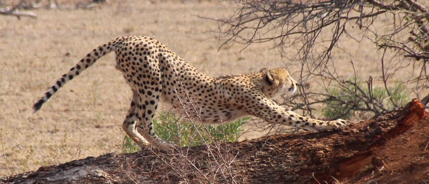 My Trip | Two Biologists Fall For Africa's Unique Biodiversity